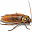 [Bug]